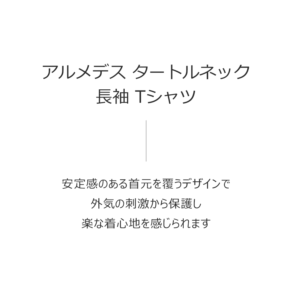 送料無料 ARMEDES アルメデス タートルネック 長袖Tシャツ レディス オールシーズン インナー アンダーシャツ 長袖 S-L シャツ tシャツ インナーシャツ アンダーウェア コンプレッションウェア トレーニングウェア ヨガ ランニング(AR-251)