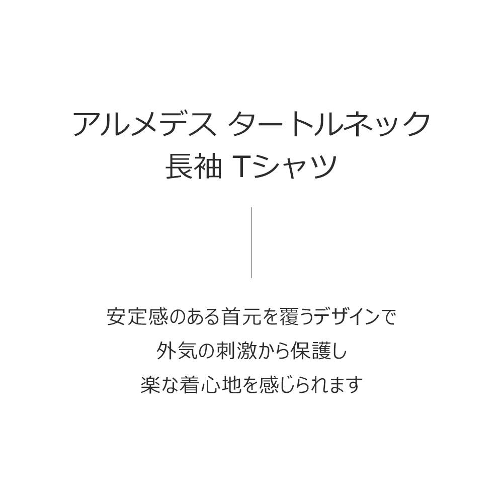 送料無料 ARMEDES アルメデス タートルネック 長袖Tシャツ レディス オールシーズン インナー アンダーシャツ 長袖 S-L シャツ tシャツ インナーシャツ アンダーウェア コンプレッションウェア トレーニングウェア ヨガ ランニング（AR-251）